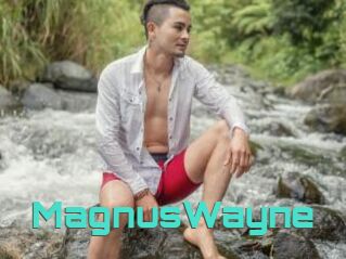MagnusWayne