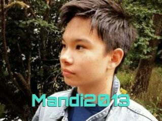 Mandi2013