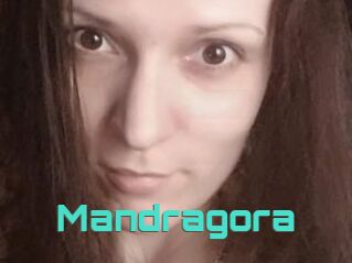 Mandragora