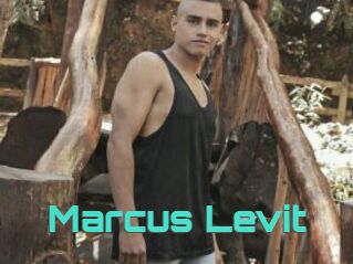 Marcus_Levit