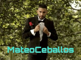 MateoCeballos