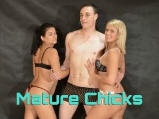 Mature_Chicks