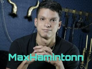 MaxHamintonn