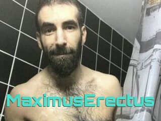 MaximusErectus