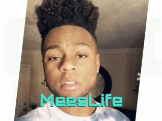MeesLife