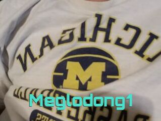 Meglodong1