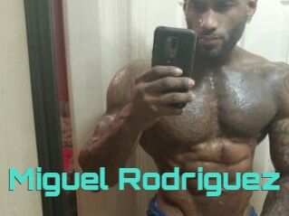 Miguel_Rodriguez