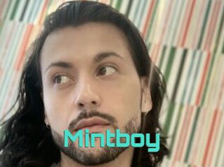 Mintboy