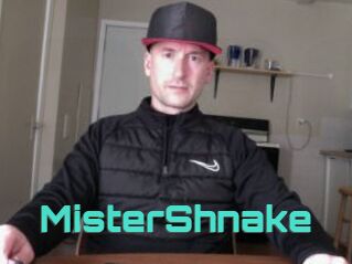 MisterShnake