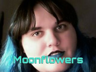 Moonflowers