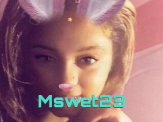 Mswet23