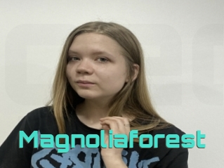 Magnoliaforest