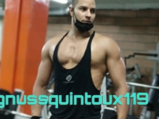 Magnussquintoux119
