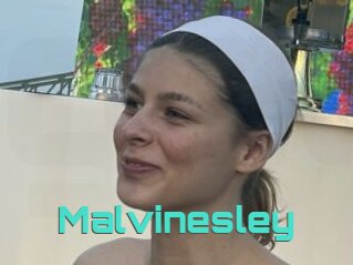 Malvinesley