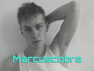 Marcuscobra