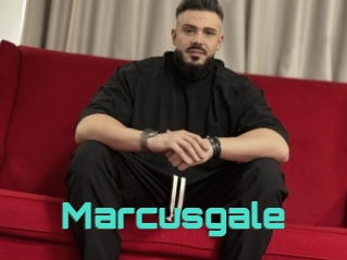 Marcusgale