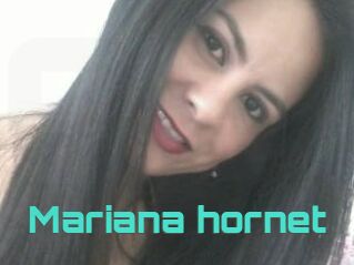 Mariana_hornet