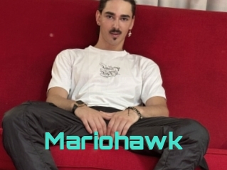 Mariohawk