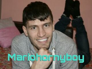 Mariohornyboy