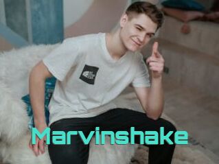 Marvinshake