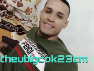 Matheubigcok23cm