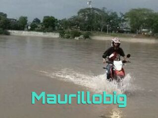 Maurillobig
