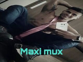 Maxi_mux