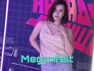 Meganfelt