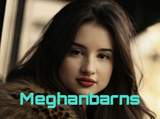 Meghanbarns