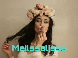 Meilssalissa