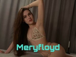 Meryfloyd
