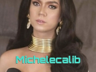 Michelecalib