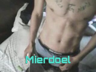 Mierdoel