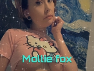 Mollie_fox