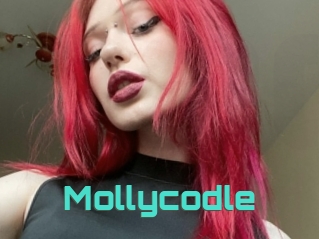Mollycodle