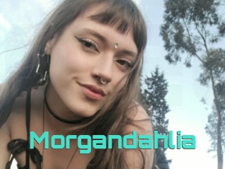 Morgandahlia