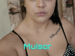 Muisor