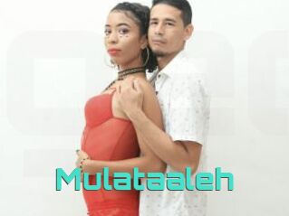 Mulataaleh