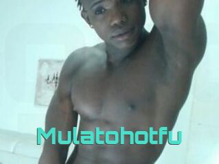 Mulatohotfu
