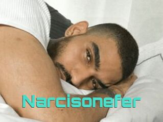 Narcisonefer