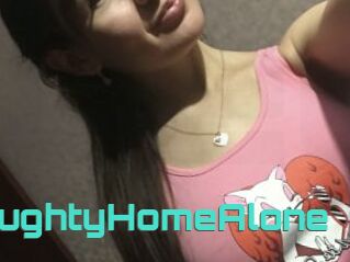 NaughtyHomeAlone