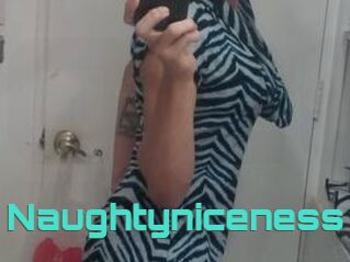 Naughtyniceness