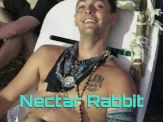 Nectar_Rabbit