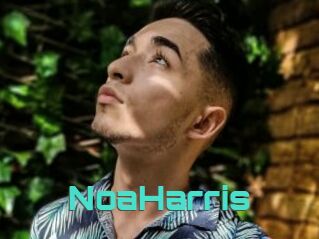 NoaHarris