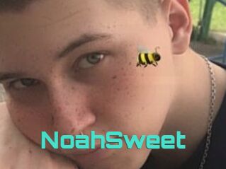 NoahSweet