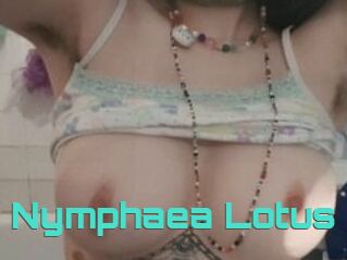 Nymphaea_Lotus