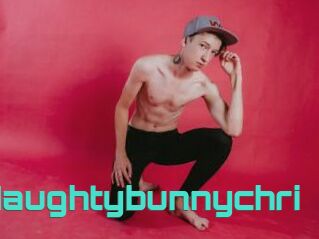 Naughtybunnychri
