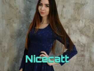 Nicecatt