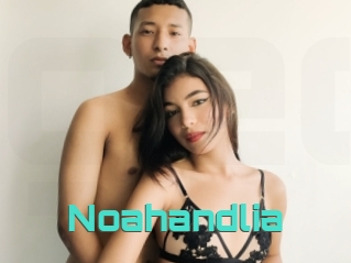 Noahandlia