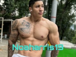 Noaharris19